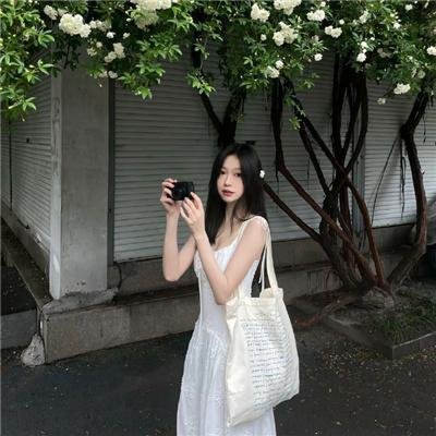 帝企鹅日记