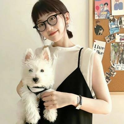 新碧血剑